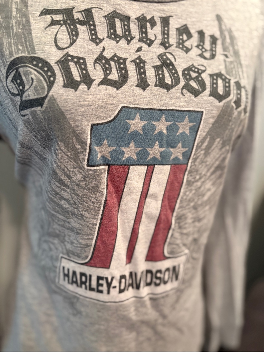 Harley-Davidson Gray Long Sleeve Graphic Tee 2XL - Picture 4 of 5